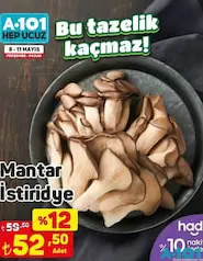 MANTAR İSTİRİDYE PAKET